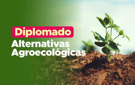 Diplomado Alternativas Agroecológicas
